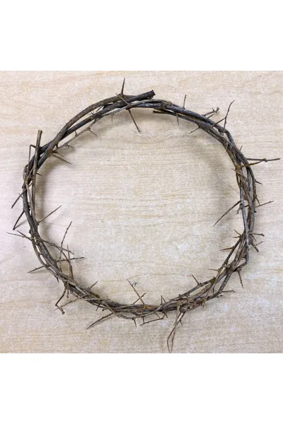 8" Crown of Thorns - FRCOT06