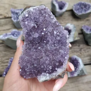 Amethyst Geode Free Form, Cut Base (#22)