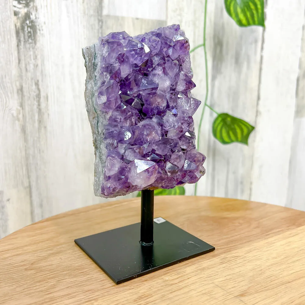 Druzy Amethyst Cluster on A Stand - #F