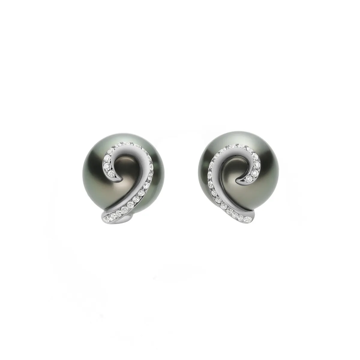 Embrace Black South Sea Cultured Pearl Earrings