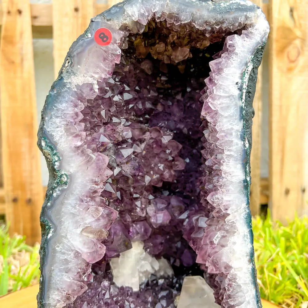 Large Amethyst Cathedral