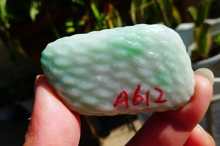 Natural Jade Rough Jadeite Raw (46g,5.4X3.3X1.2cm)