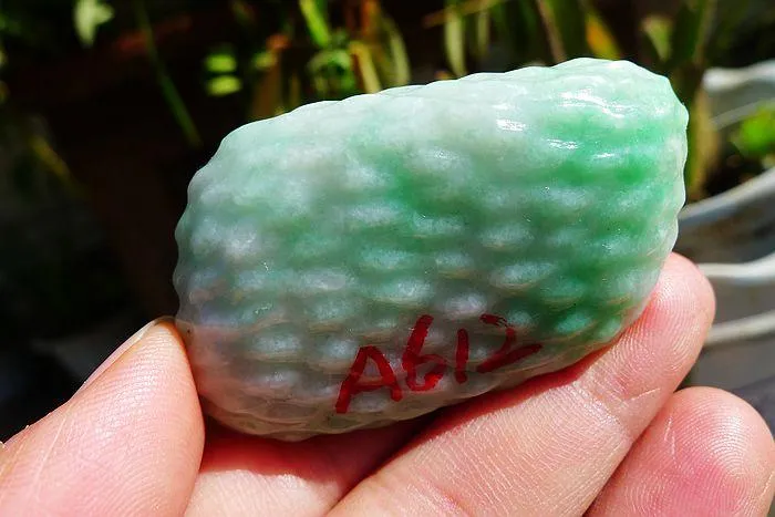 Natural Jade Rough Jadeite Raw (46g,5.4X3.3X1.2cm)