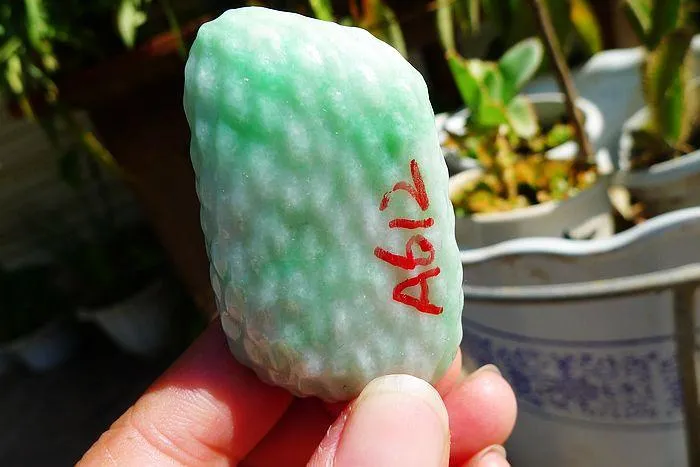 Natural Jade Rough Jadeite Raw (46g,5.4X3.3X1.2cm)