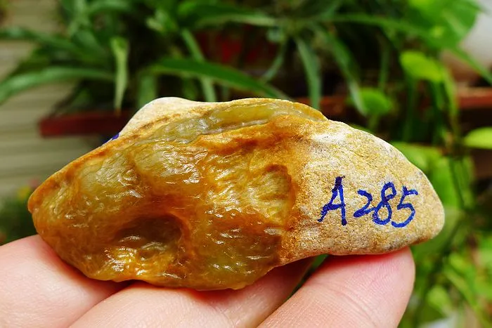 Natural Jade Rough Jadeite Raw (50g,6.6X2.9X1.9cm)