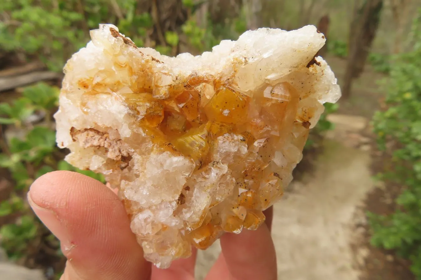 Natural Limonite Quartz Specimens x 12 From Zambia