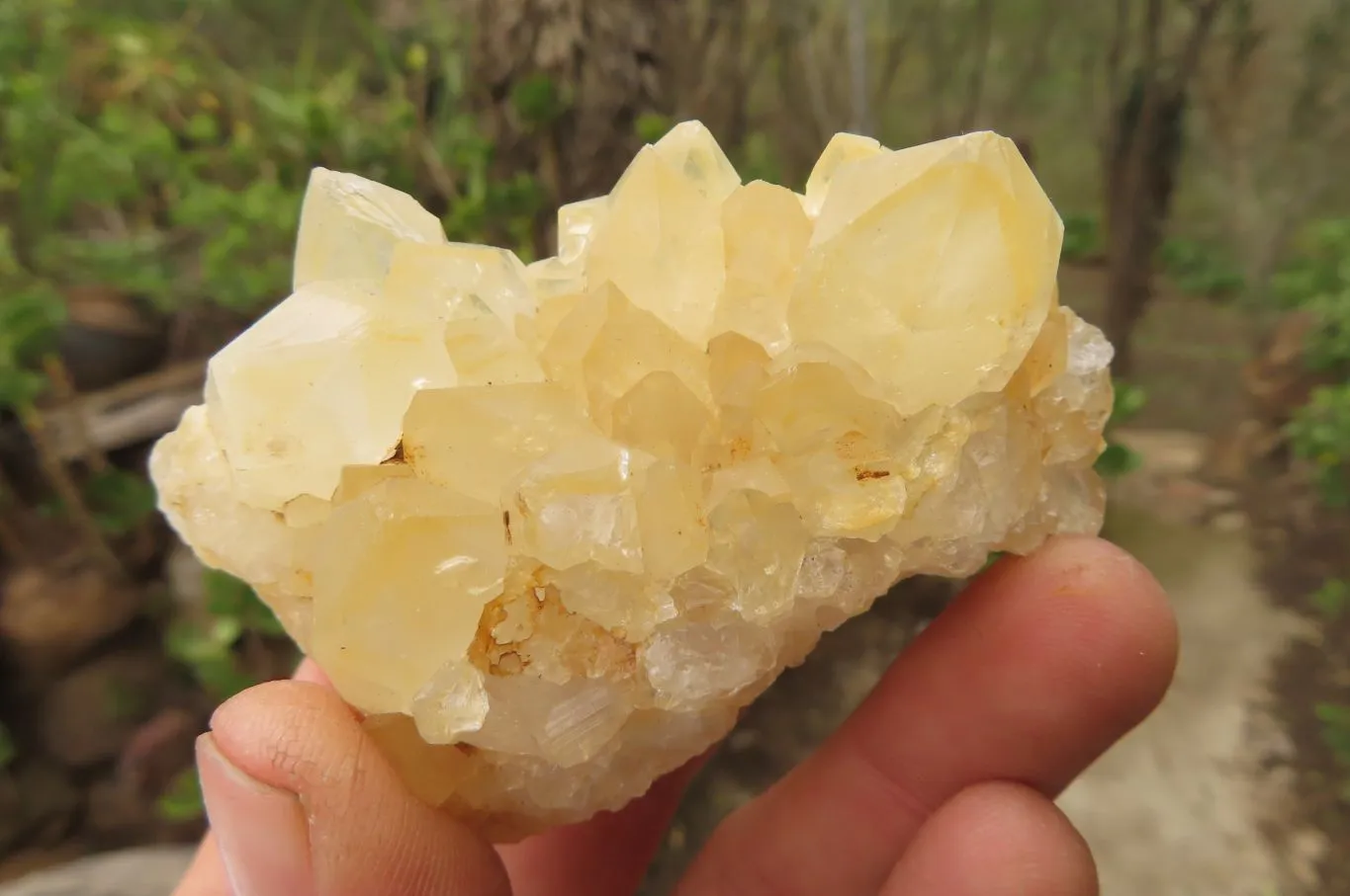 Natural Limonite Quartz Specimens x 12 From Zambia