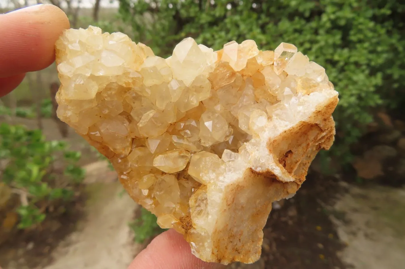 Natural Limonite Quartz Specimens x 12 From Zambia