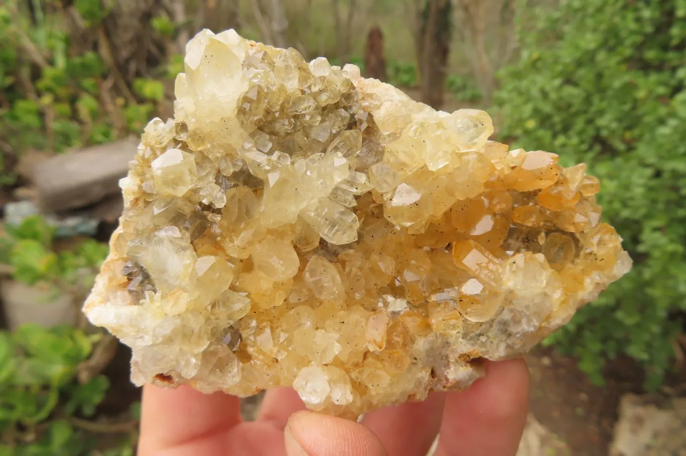 Natural Limonite Quartz Specimens x 12 From Zambia