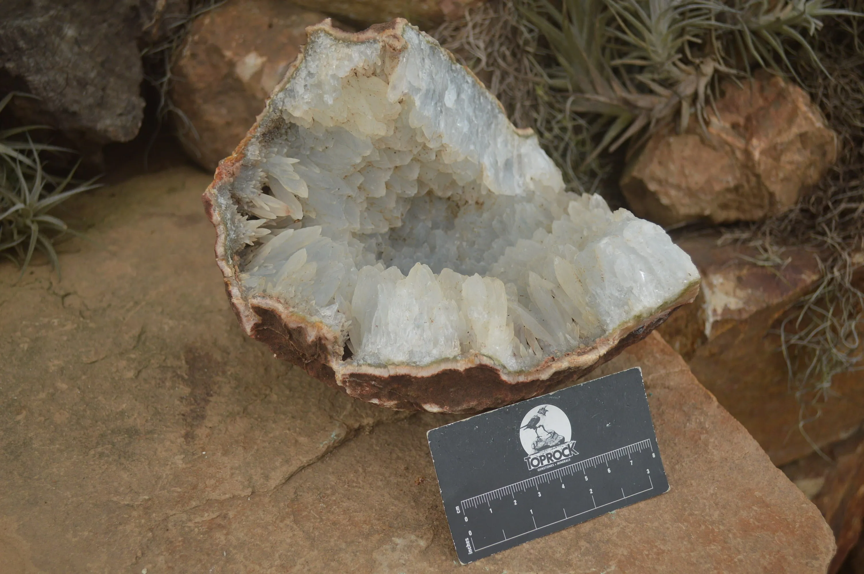 Natural Quartz Crystal Centred Geode Specimen x 1 From Zululand, South Africa