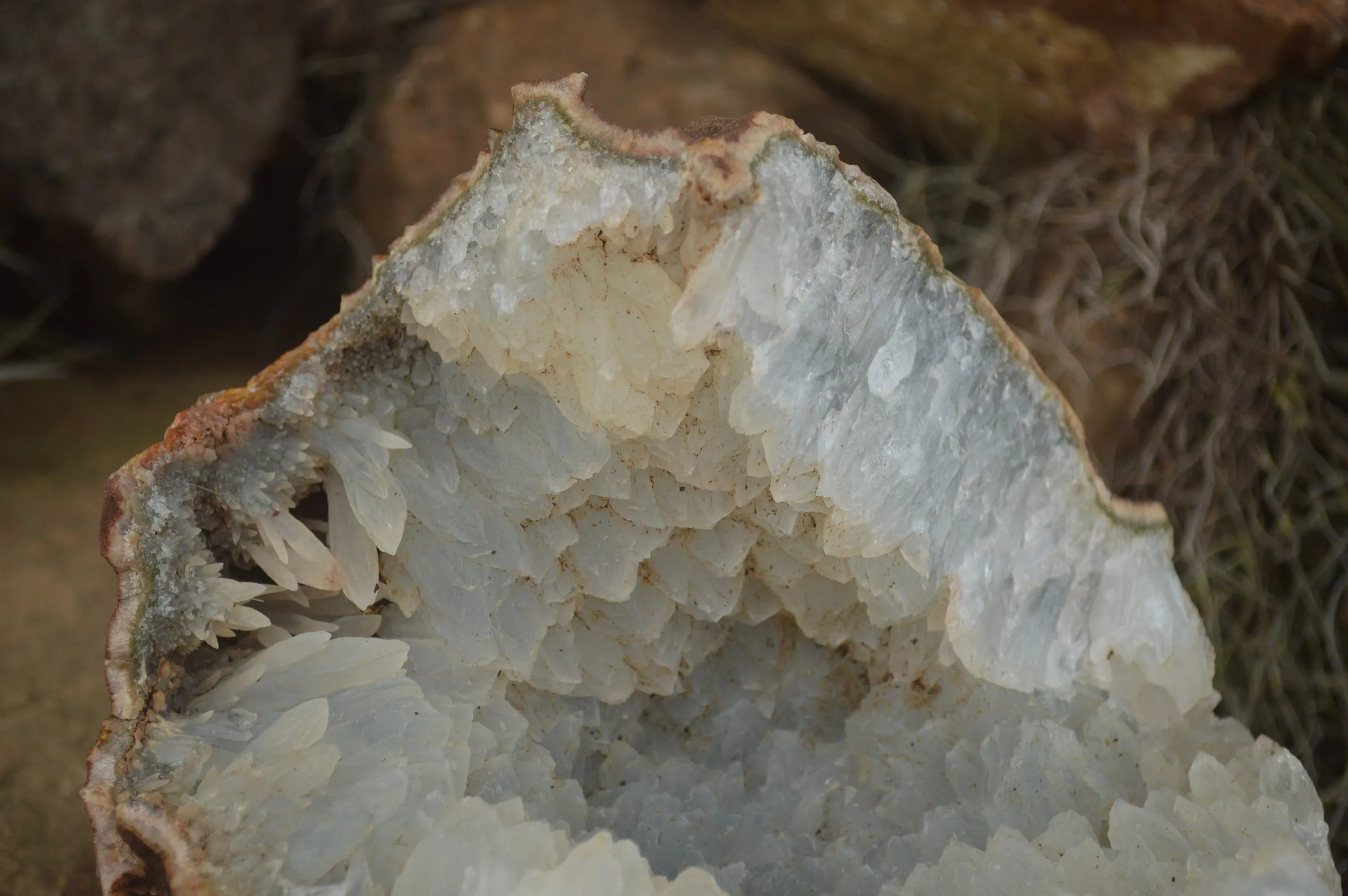 Natural Quartz Crystal Centred Geode Specimen x 1 From Zululand, South Africa