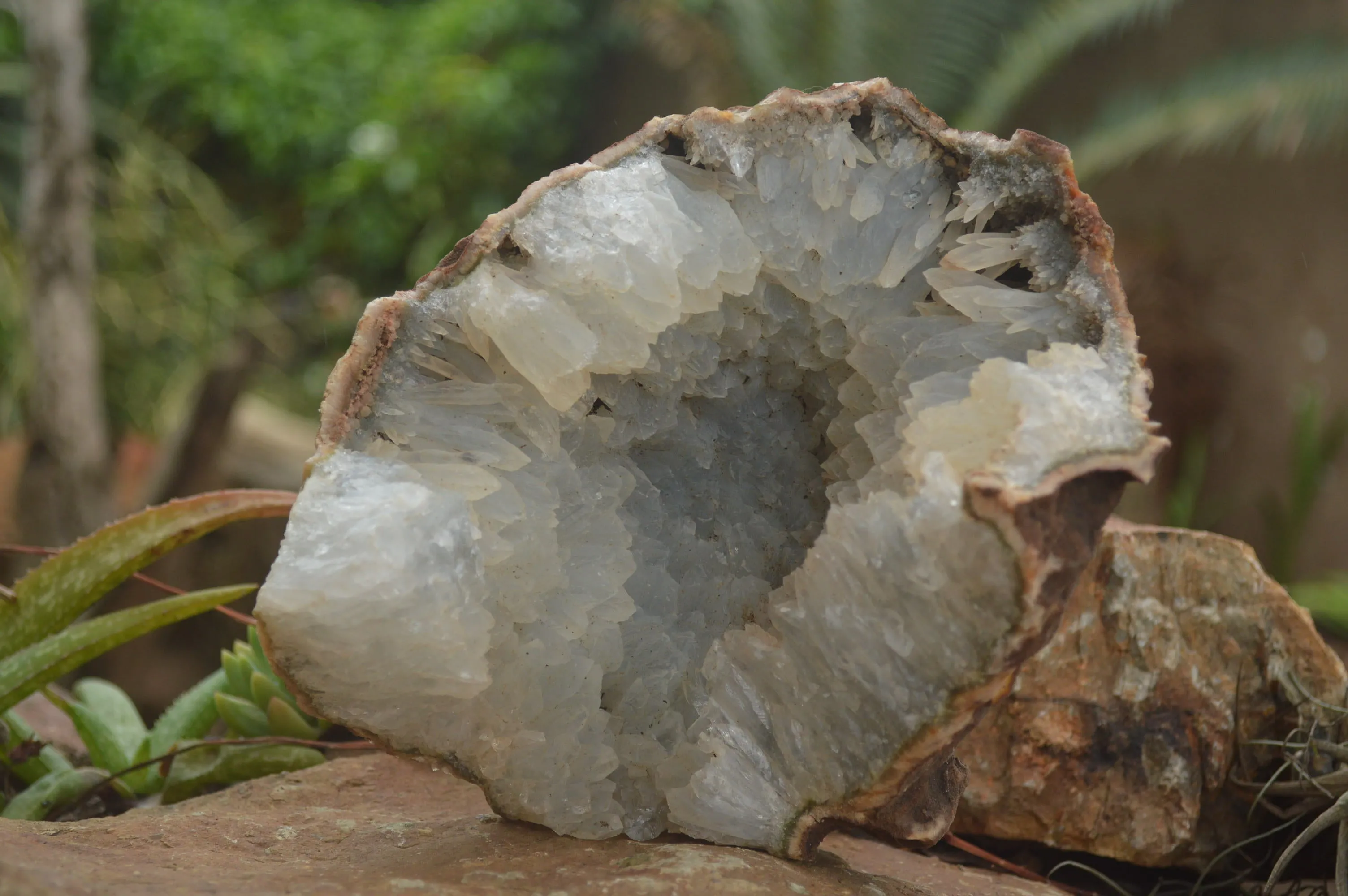 Natural Quartz Crystal Centred Geode Specimen x 1 From Zululand, South Africa