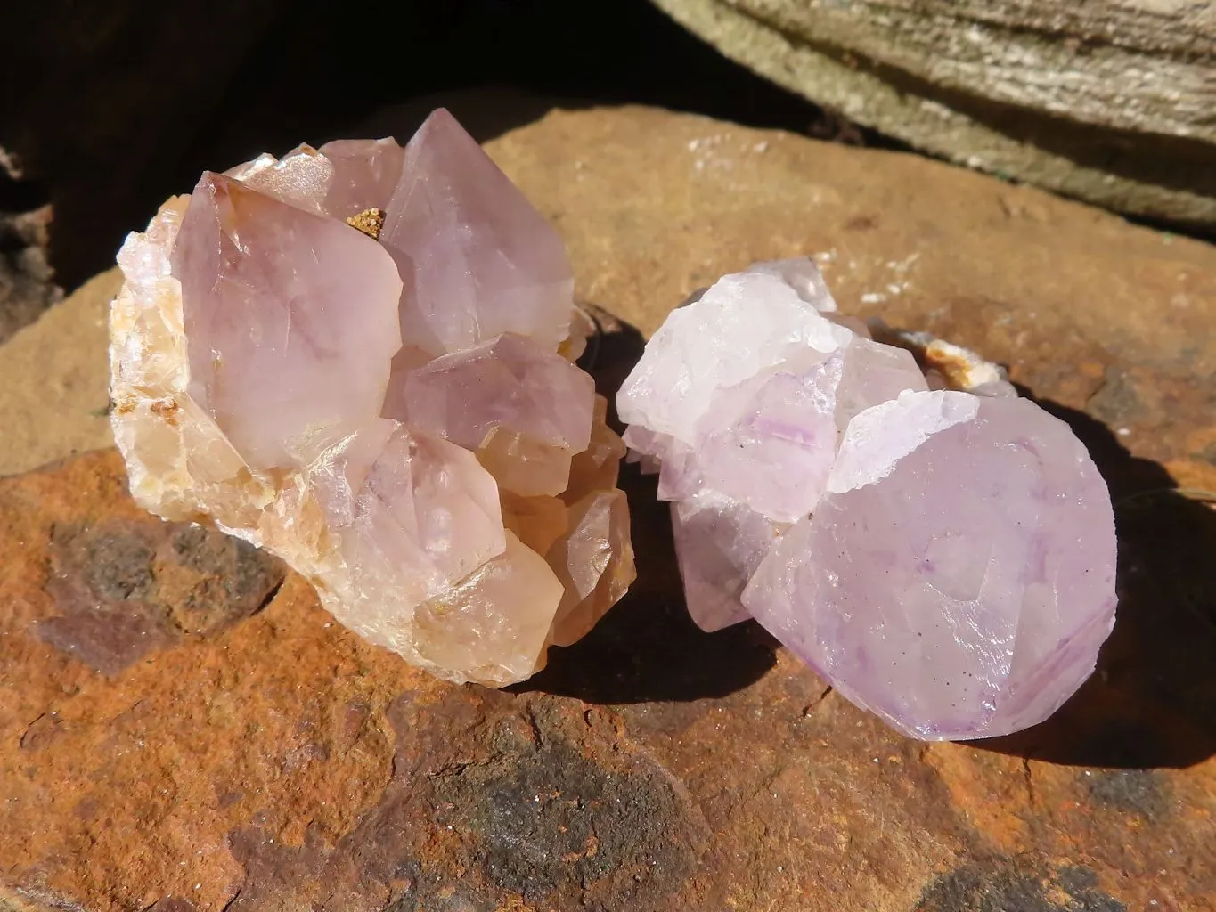 Natural Small Spirit Amethyst Crystals x 70 From Boekenhouthoek, South Africa