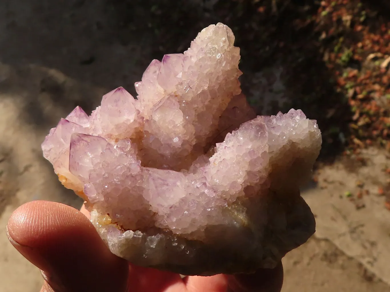 Natural Spirit Amethyst Quartz Clusters x 13 From Boekenhouthoek, South Africa