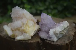 Natural Spirit Amethyst Spirit Quartz Clusters x 12 From Southern Africa