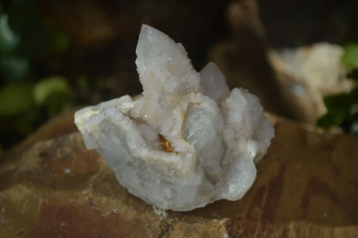 Natural Spirit Amethyst Spirit Quartz Clusters x 12 From Southern Africa