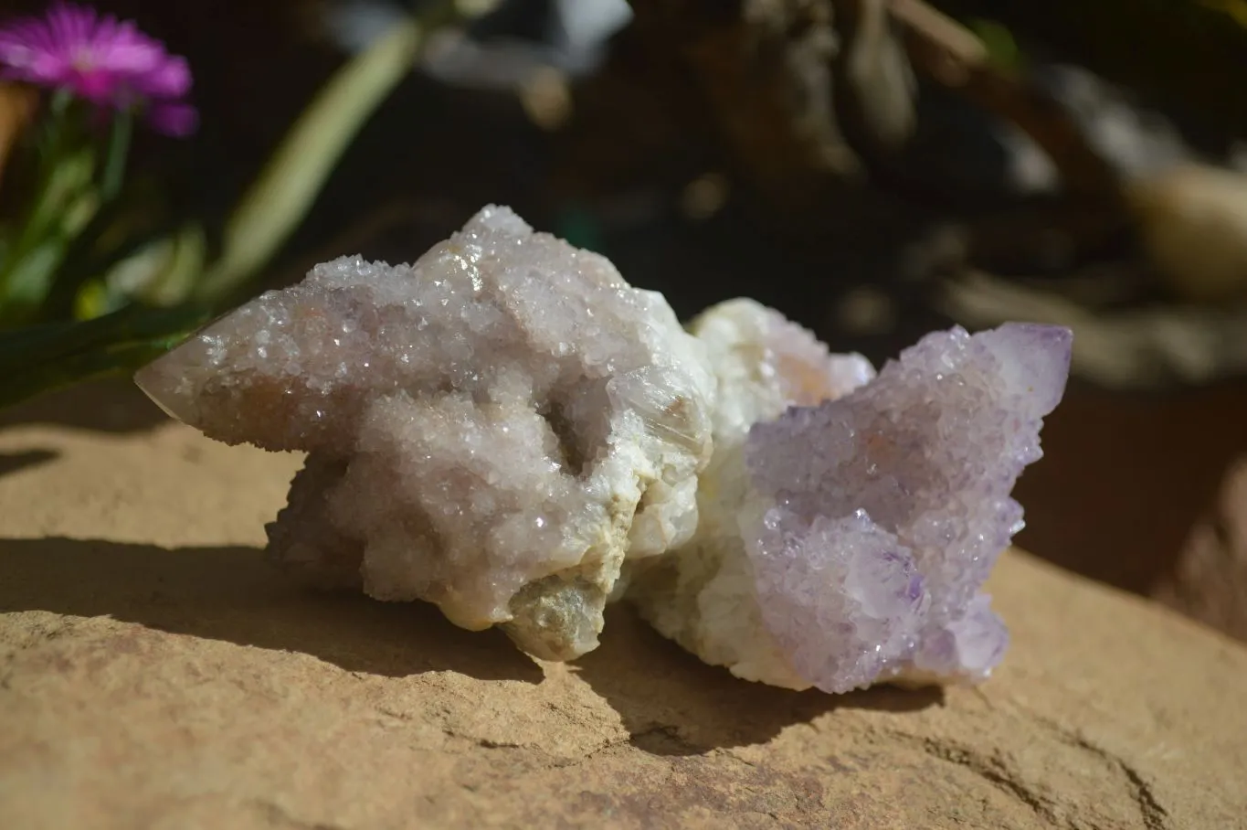 Natural Spirit Amethyst Spirit Quartz Clusters x 12 From Southern Africa