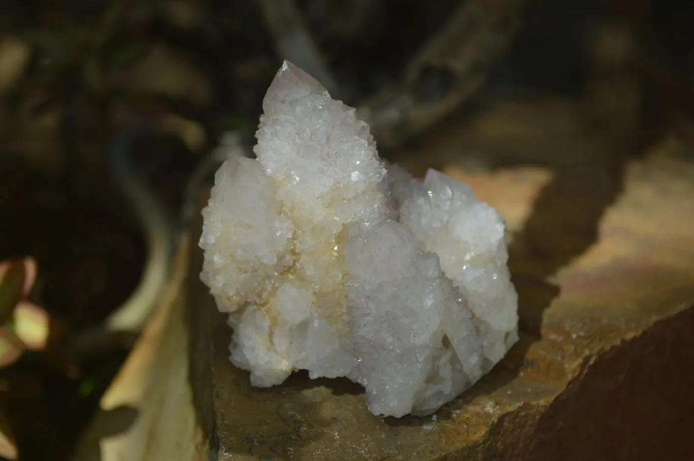 Natural Spirit Amethyst Spirit Quartz Clusters x 12 From Southern Africa