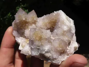 Natural Spirit Quartz Clusters x 6 From Boekenhouthoek, South Africa