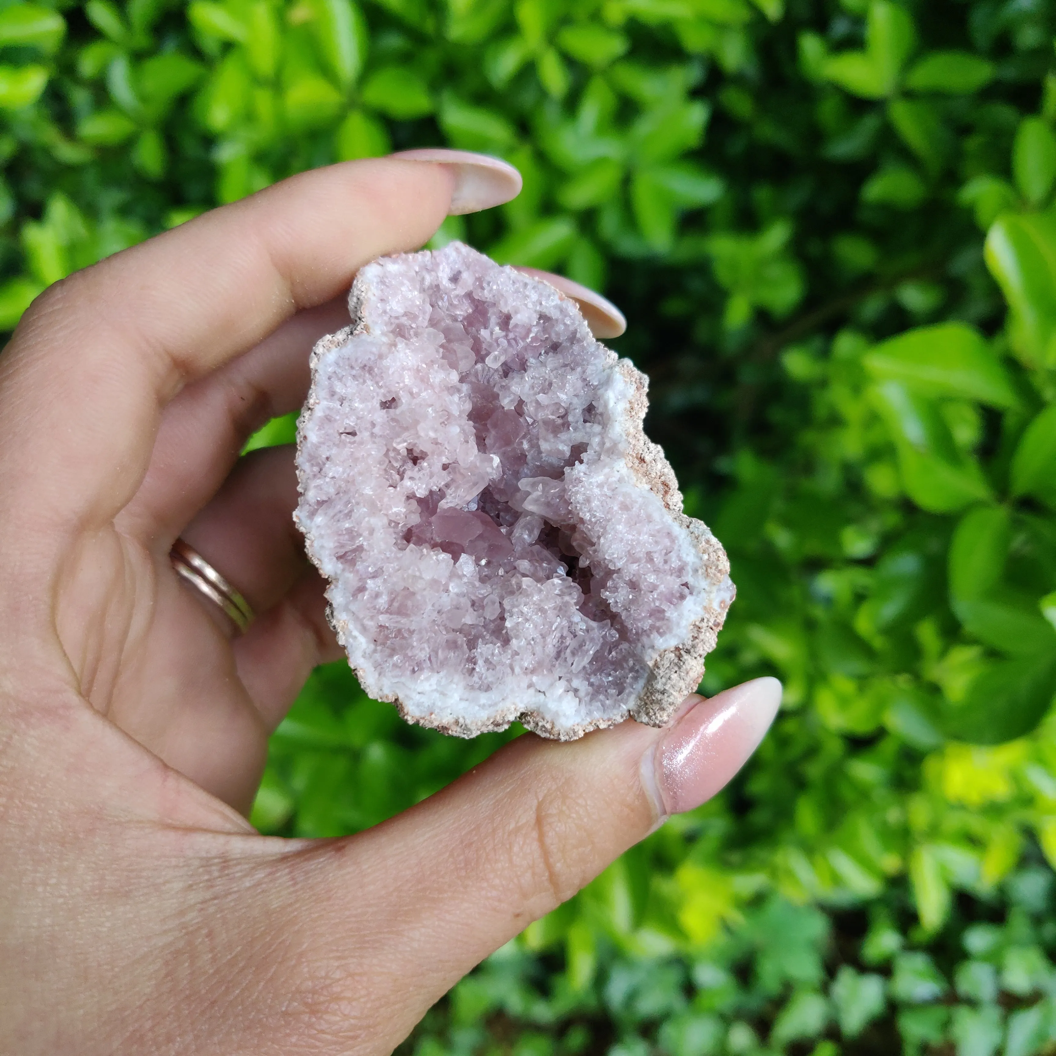 Pink Amethyst Geode (#4)