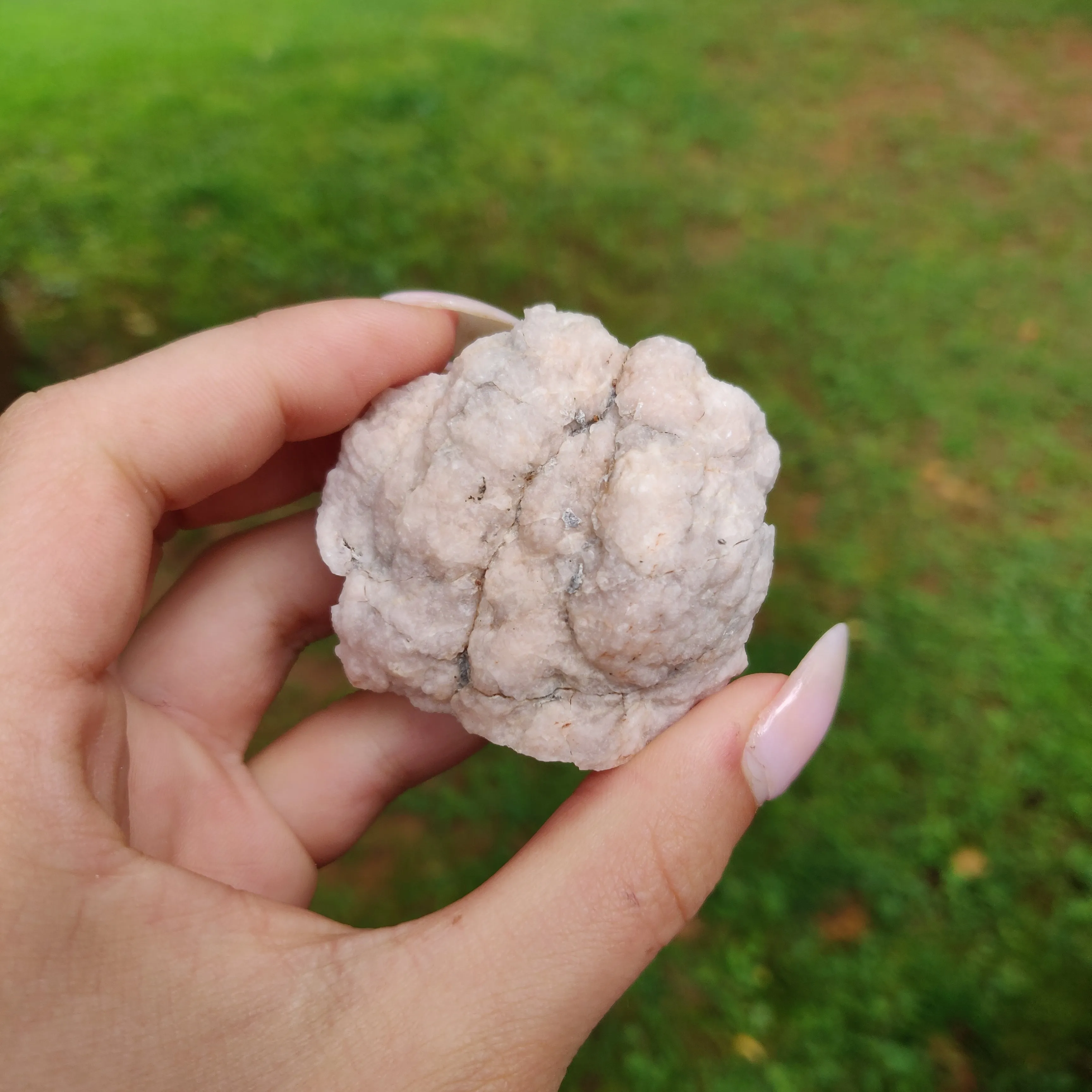 Pink Amethyst Geode  (#J3)