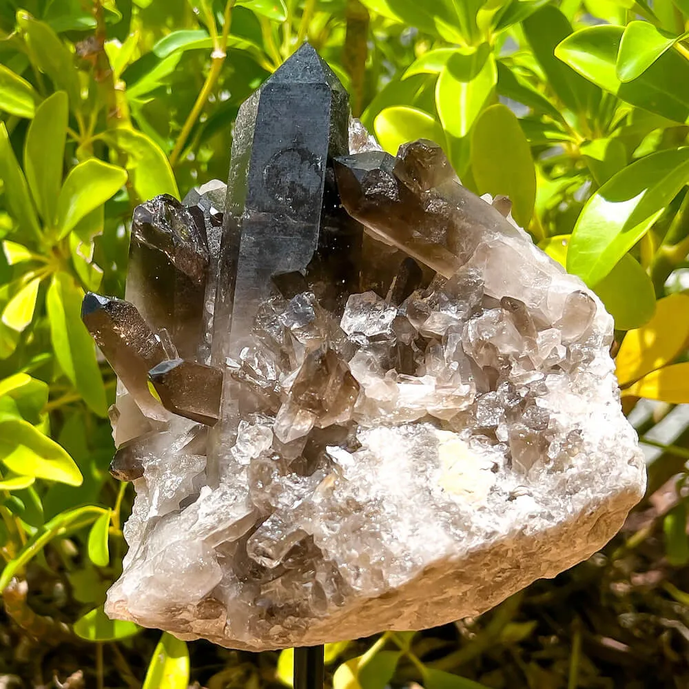 Smoky Quartz on a Stand