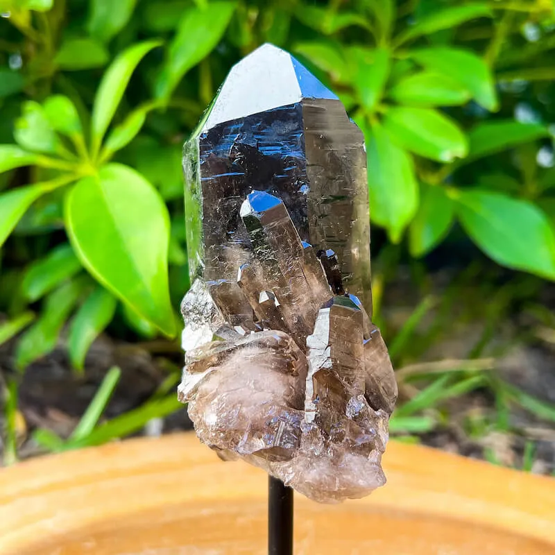 Smoky Quartz on a Stand