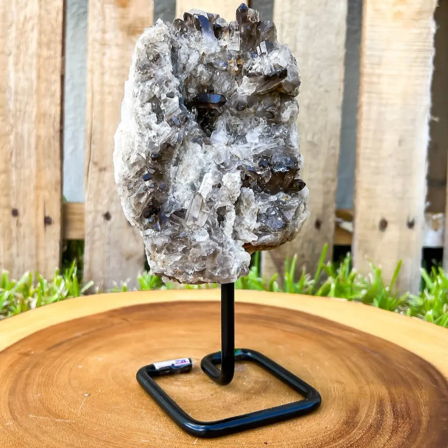 Smoky Quartz on a Stand