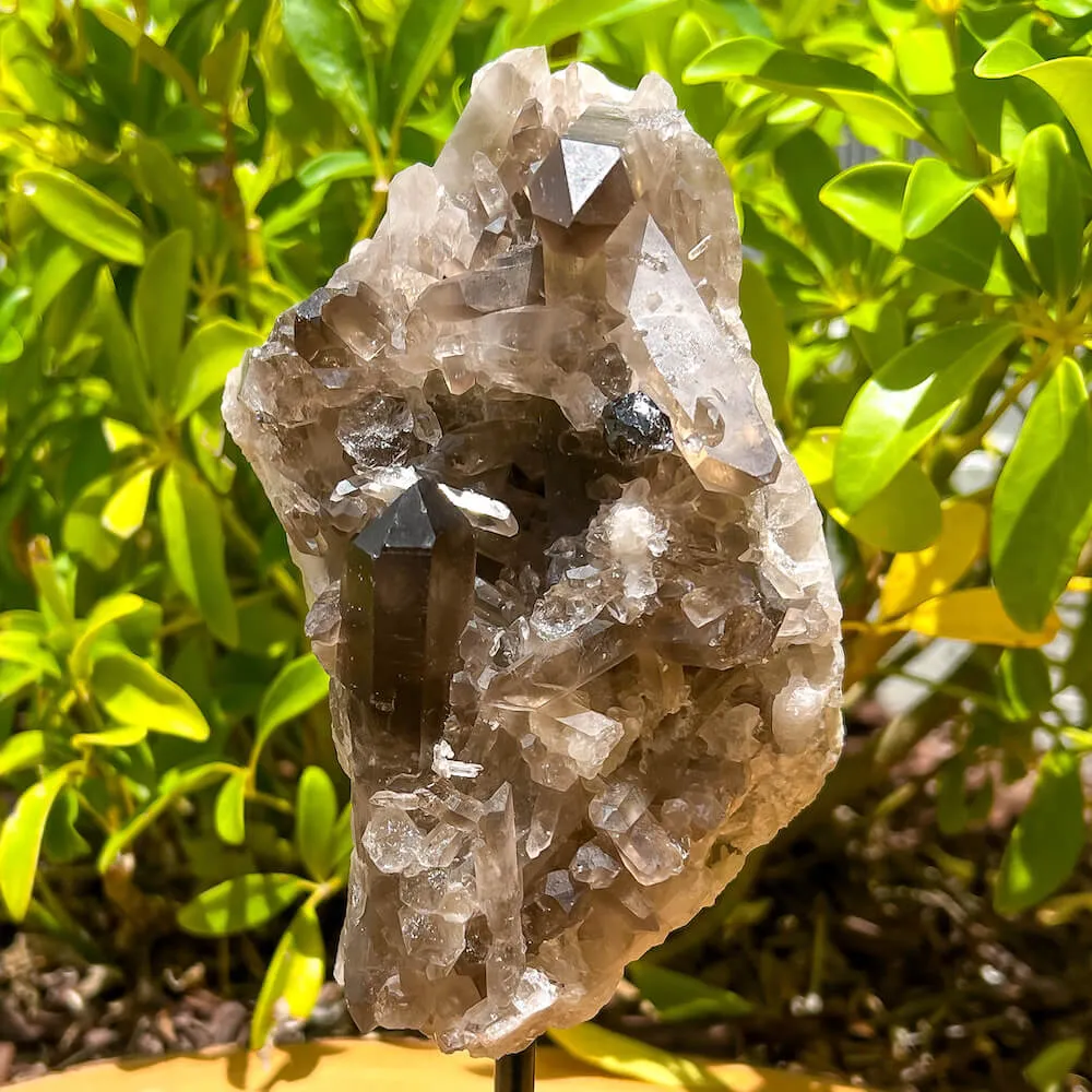 Smoky Quartz on a Stand