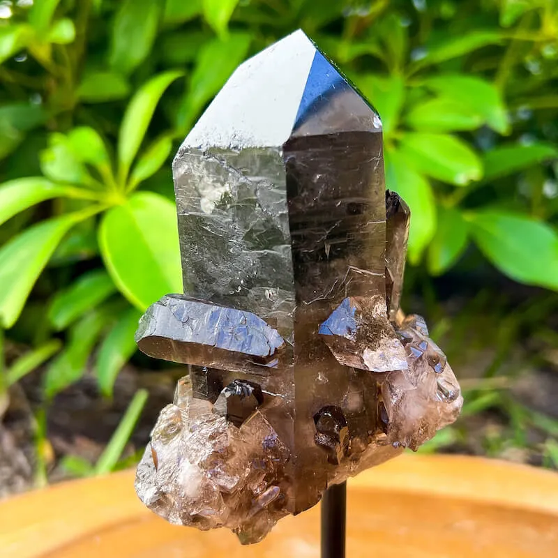 Smoky Quartz on a Stand