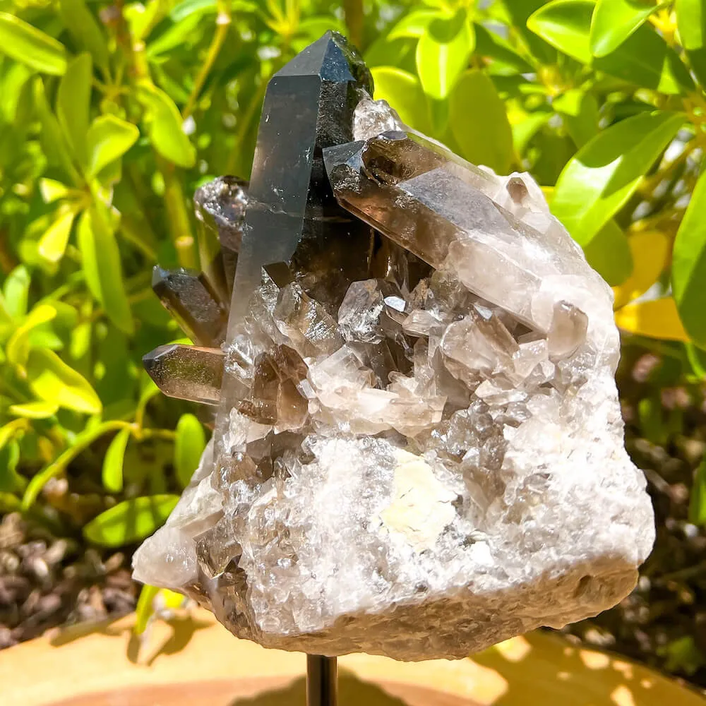 Smoky Quartz on a Stand