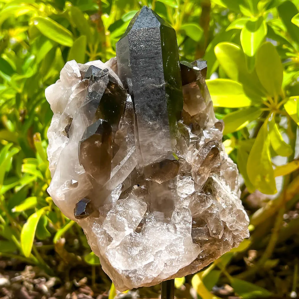 Smoky Quartz on a Stand