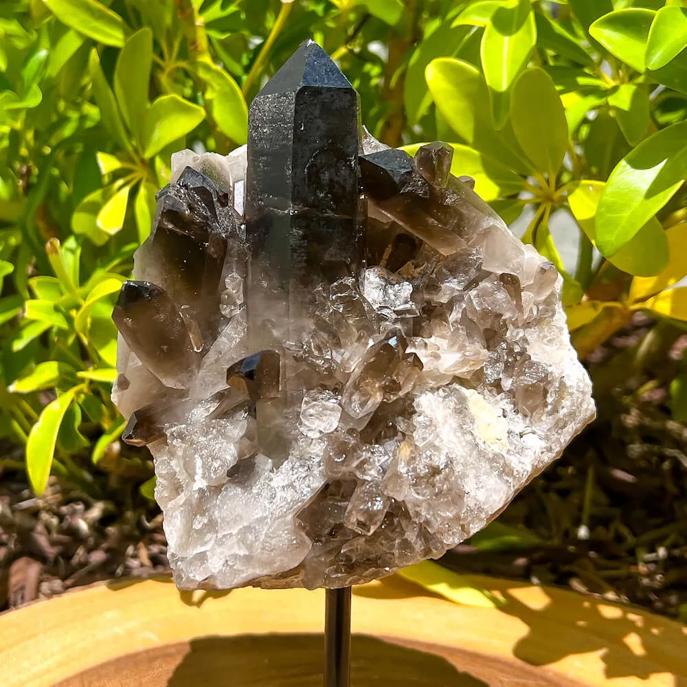 Smoky Quartz on a Stand