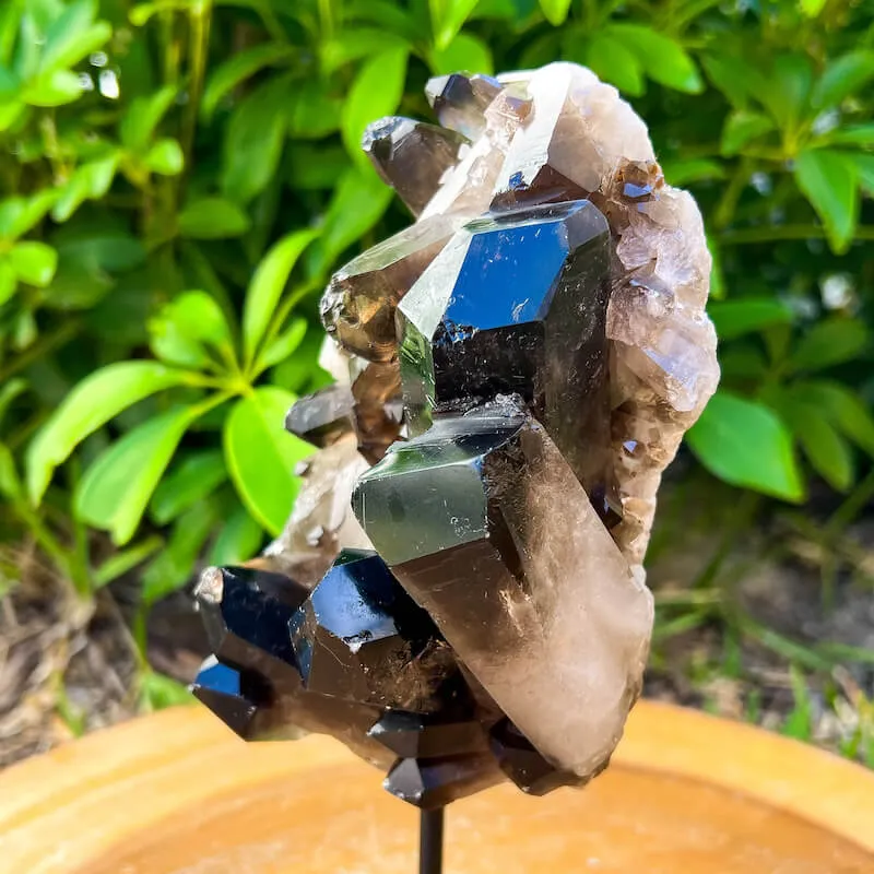 Smoky Quartz on a Stand