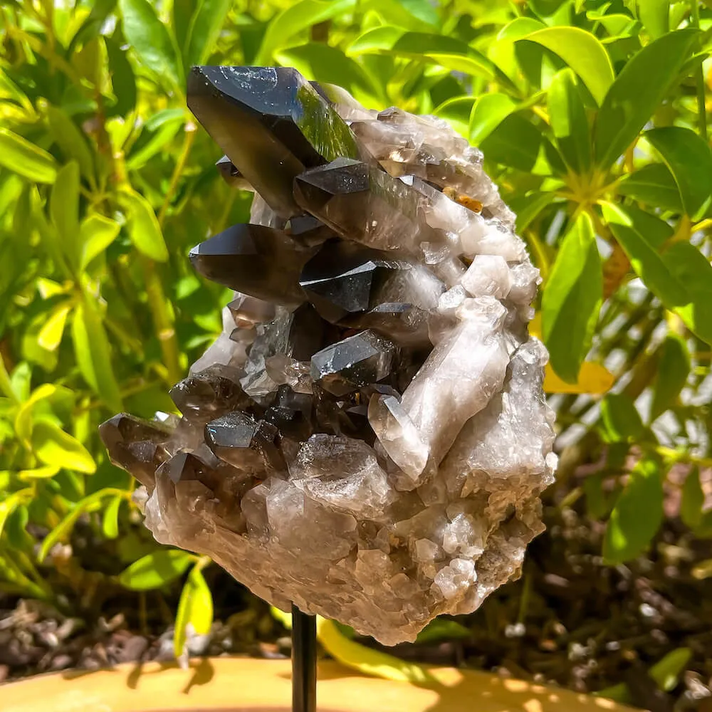 Smoky Quartz on a Stand