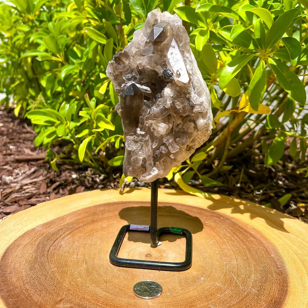 Smoky Quartz on a Stand