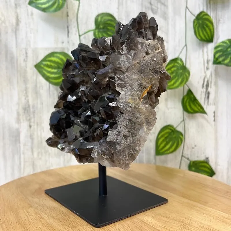 Smoky Quartz on a Stand