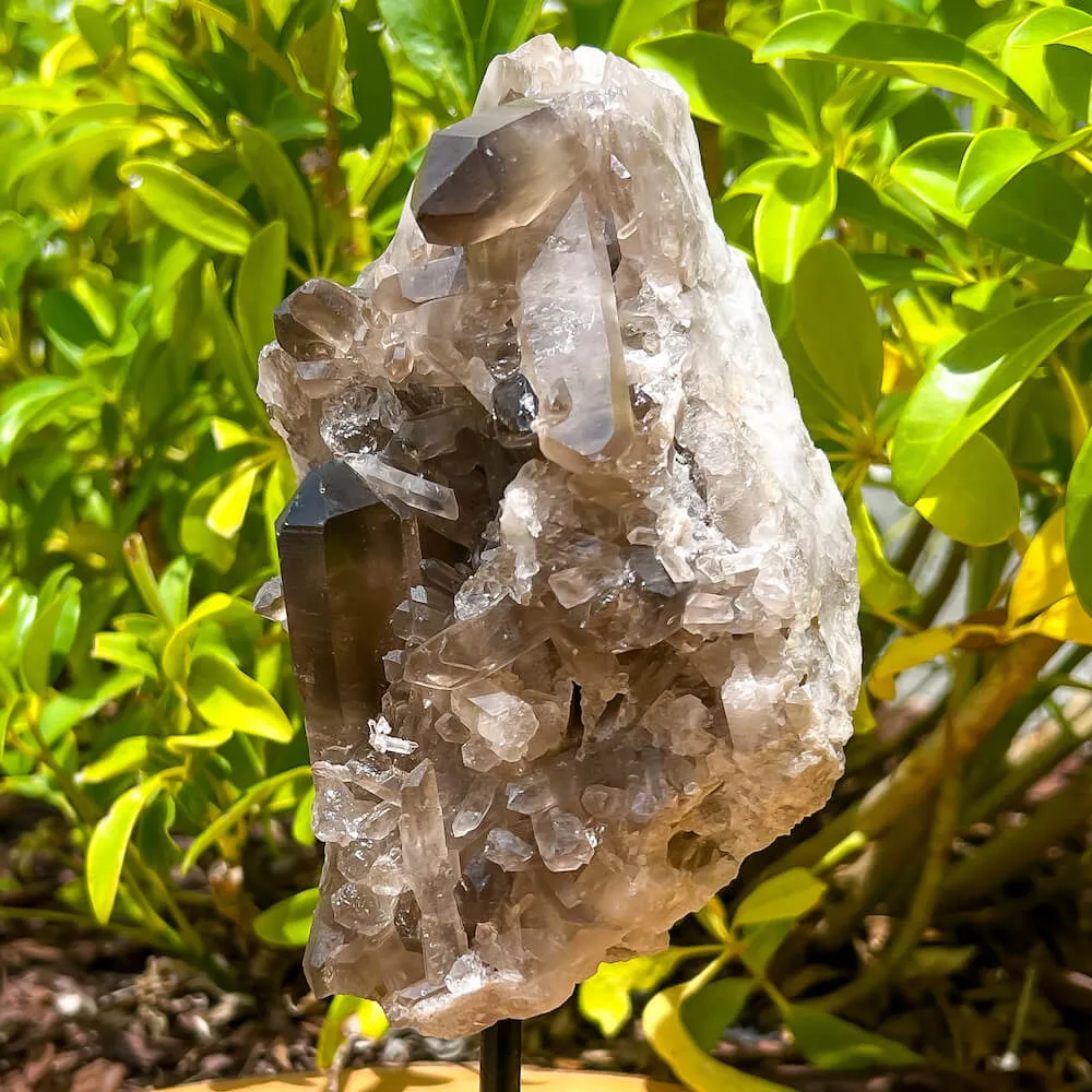 Smoky Quartz on a Stand