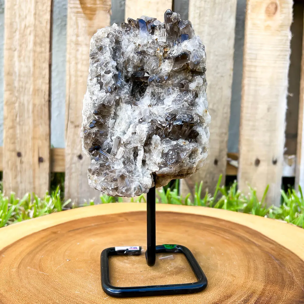 Smoky Quartz on a Stand