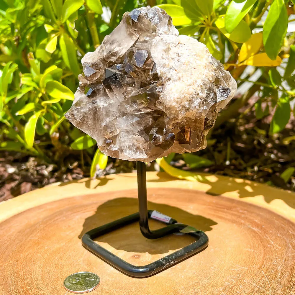 Smoky Quartz on a Stand