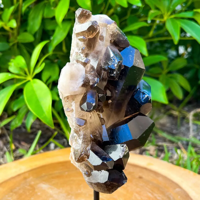 Smoky Quartz on a Stand