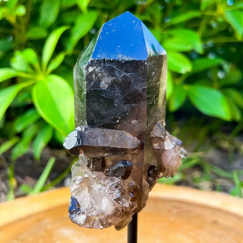 Smoky Quartz on a Stand