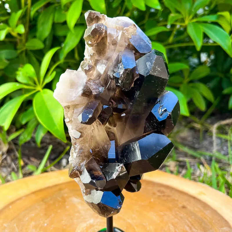 Smoky Quartz on a Stand