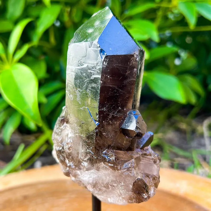 Smoky Quartz on a Stand