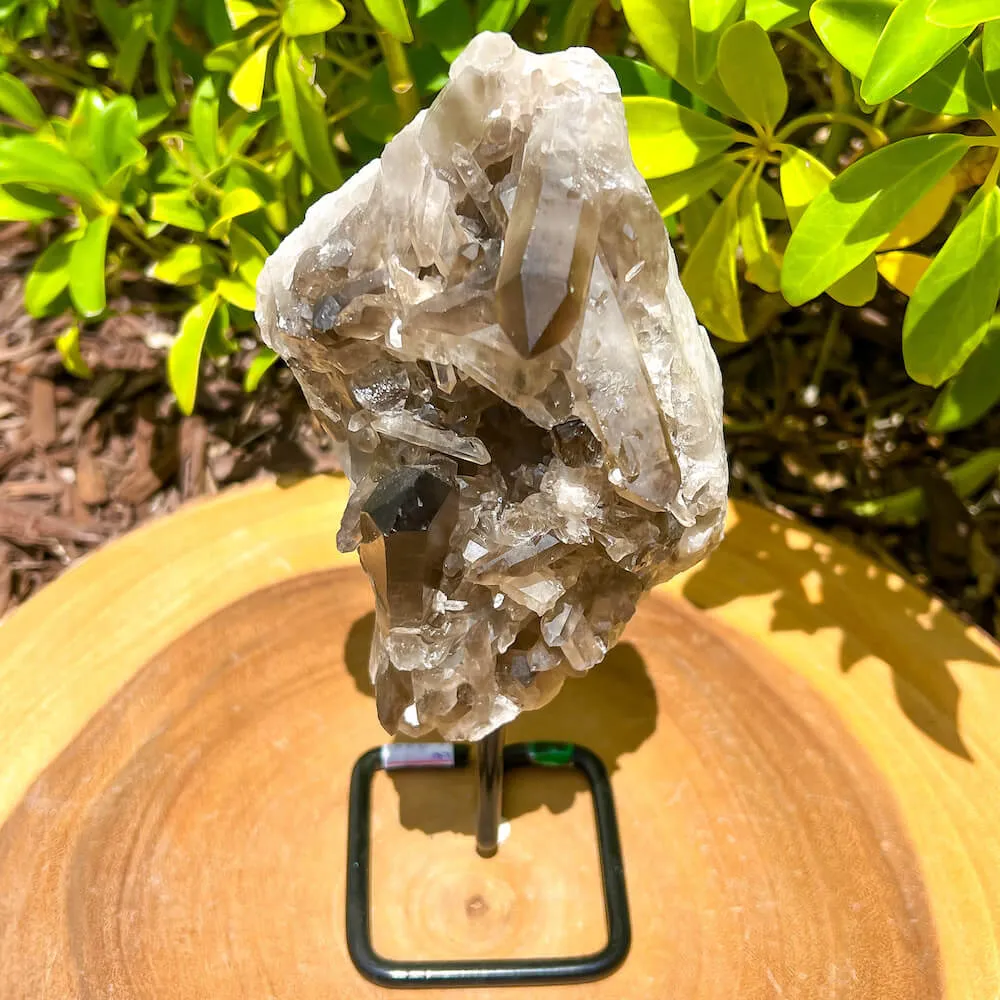 Smoky Quartz on a Stand