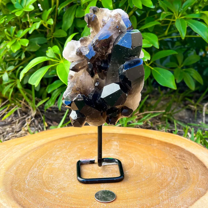 Smoky Quartz on a Stand