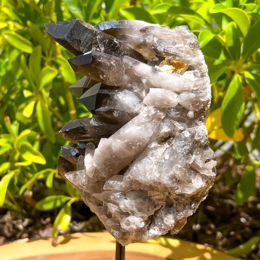 Smoky Quartz on a Stand