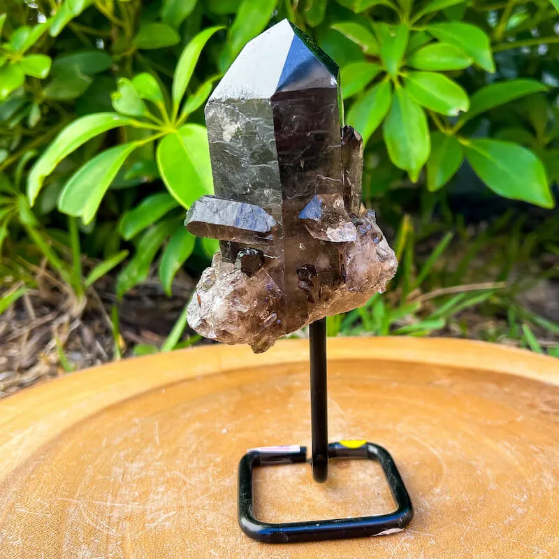 Smoky Quartz on a Stand