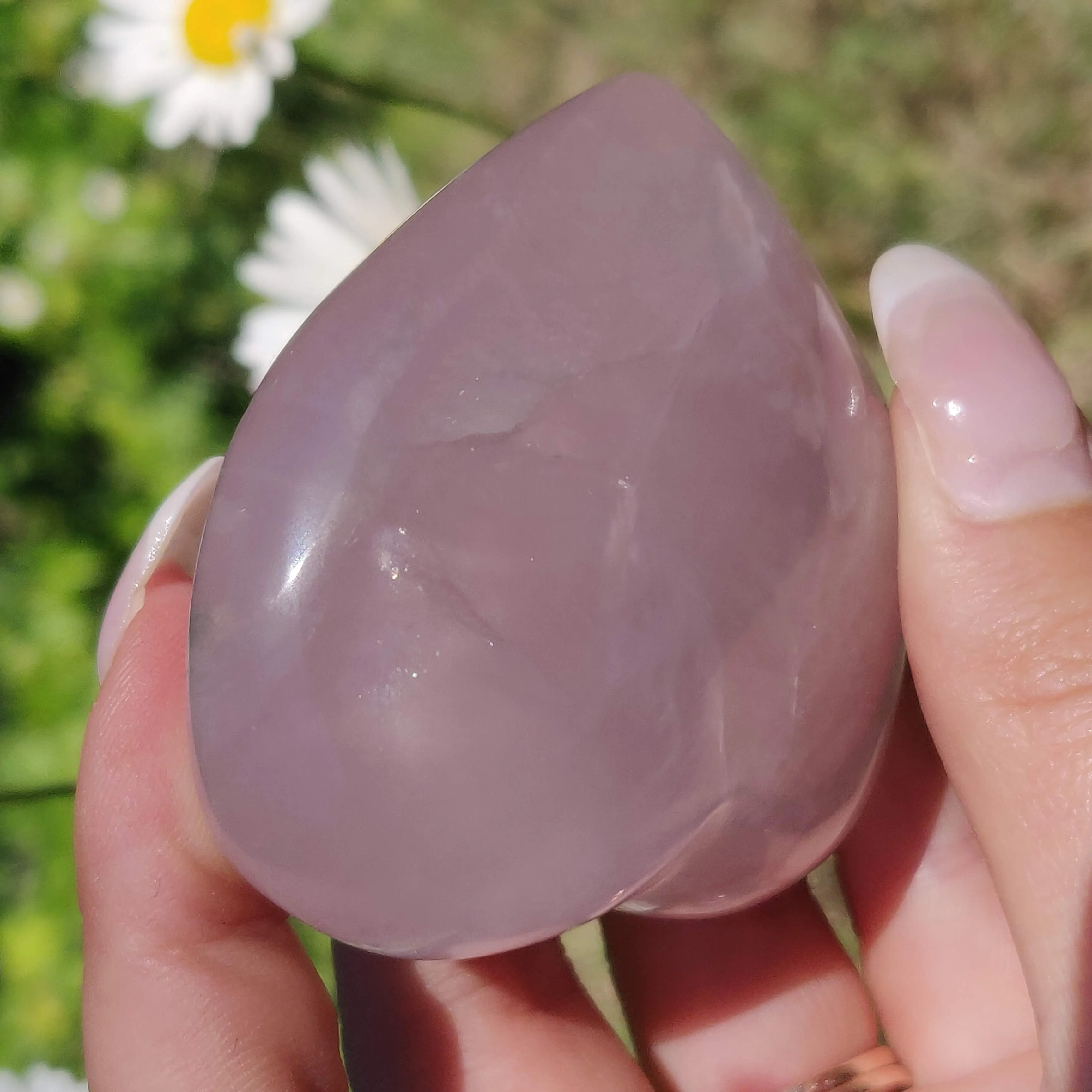 Star Rose Quartz Heart (#1M)