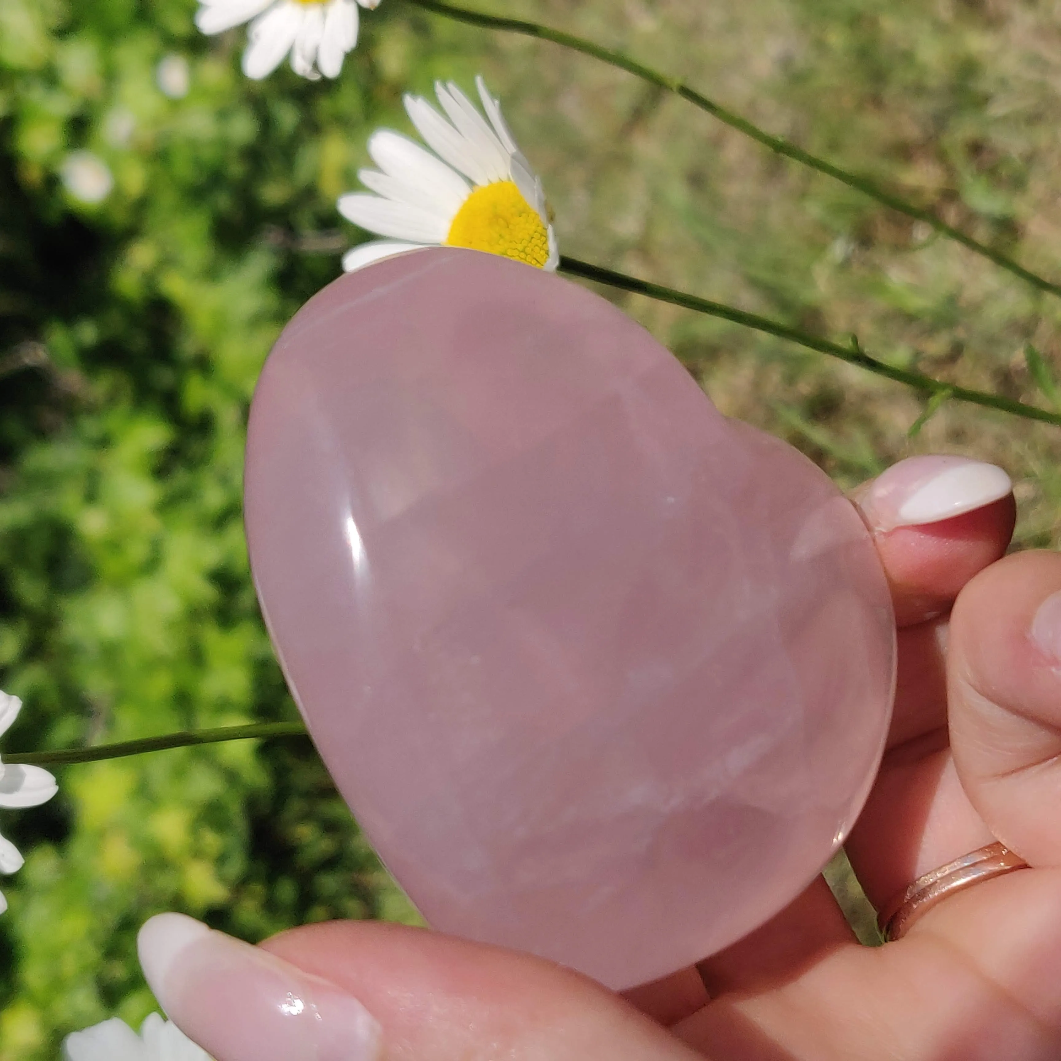 Star Rose Quartz Heart (#1M)